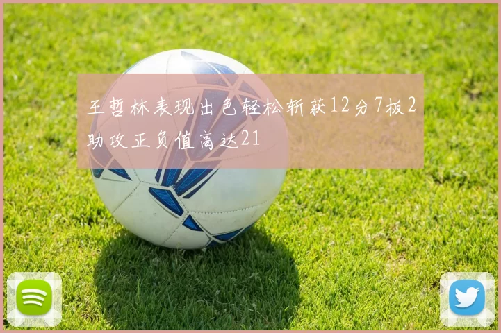 王哲林表现出色轻松斩获12分7板2助攻正负值高达21