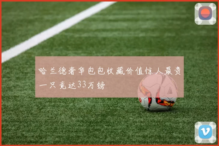 哈兰德奢华包包收藏价值惊人最贵一只竟达33万镑